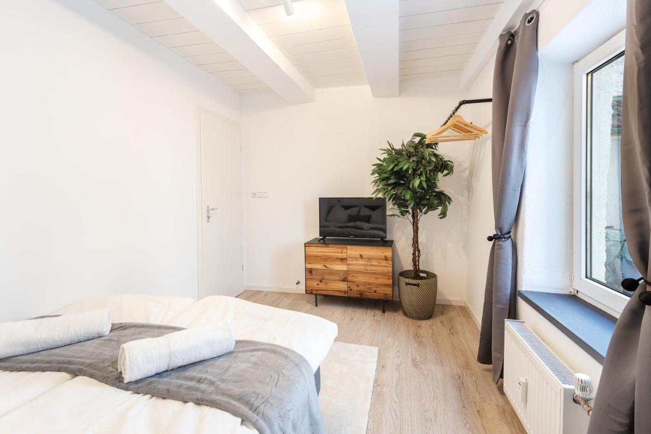Terrace Apartment With 5 Rooms, Whirlpool And Bbq Augsburg Eksteriør billede